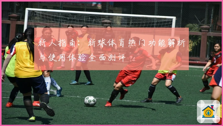 新人指南：新球体育热门功能解析与使用体验全面测评