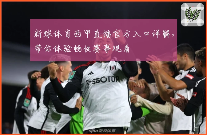 新球体育西甲直播官方入口详解，带你体验畅快赛事观看