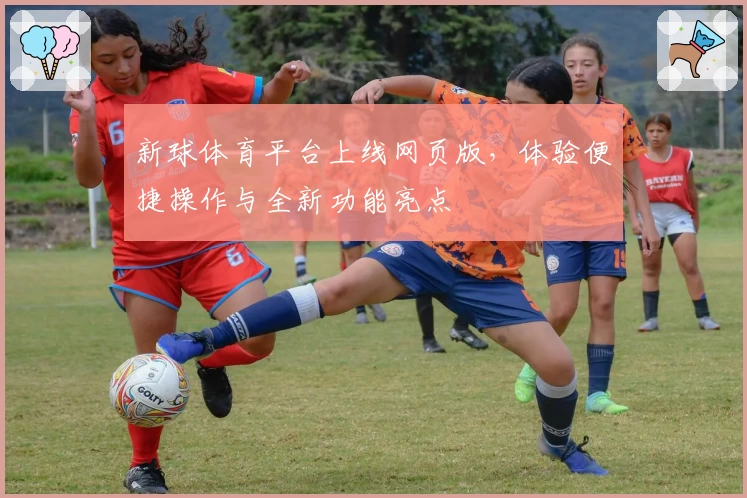 新球体育平台上线网页版，体验便捷操作与全新功能亮点