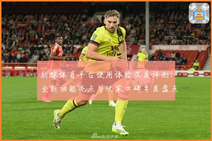 新球体育平台使用体验深度评测：全新功能亮点与玩家口碑年度盘点