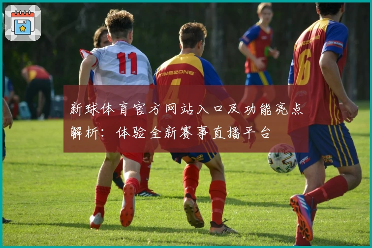 新球体育官方网站入口及功能亮点解析：体验全新赛事直播平台