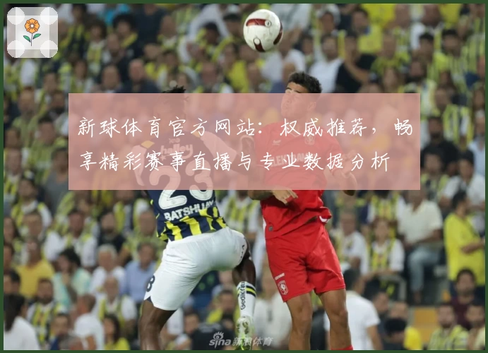新球体育官方网站：权威推荐，畅享精彩赛事直播与专业数据分析
