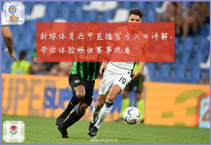 新球体育西甲直播官方入口详解，带你体验畅快赛事观看
